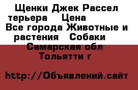 Щенки Джек Рассел терьера  › Цена ­ 15 000 - Все города Животные и растения » Собаки   . Самарская обл.,Тольятти г.